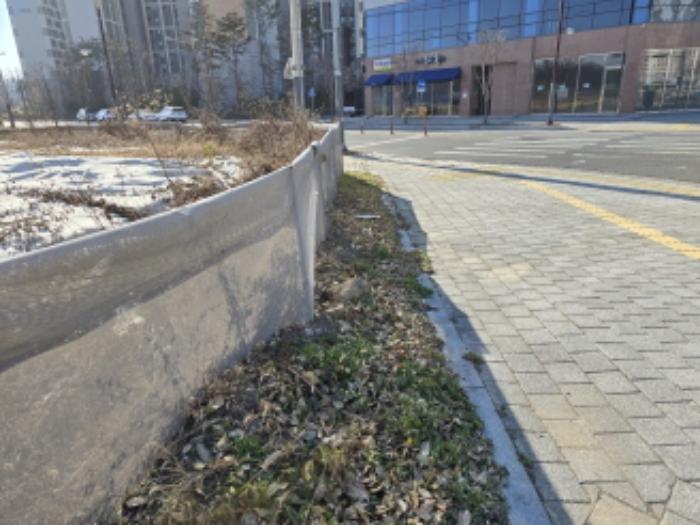 경상북도 영천시 완산동 504-2 답 경매 사진 10