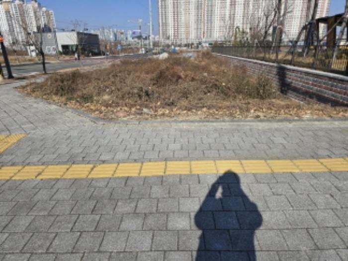 경상북도 영천시 완산동 504-2 답 경매 사진 8