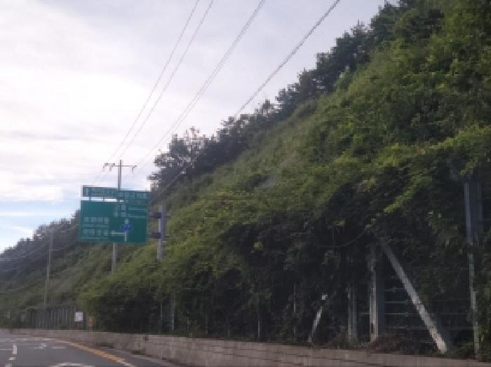 전라남도 여수시 화정면 조발리 산32 임야 경매 사진 3