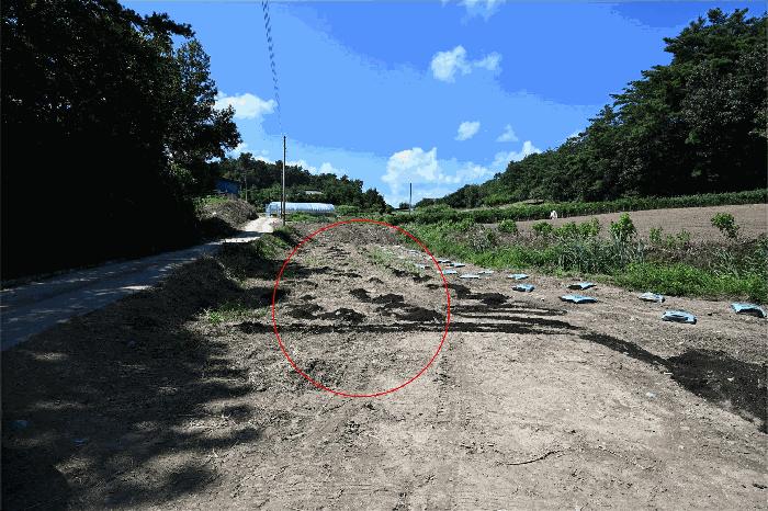 전라남도 고흥군 점암면 화계리 1299 답 경매 사진 3