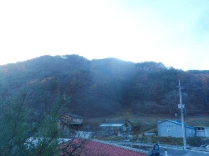 강원특별자치도 정선군 임계면 임계리 산417 임야 경매 사진 14