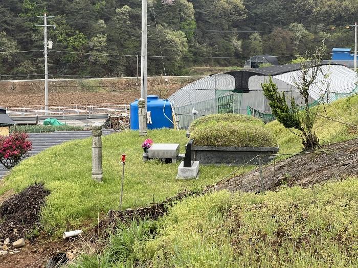 충청남도 청양군 남양면 대봉리 208 대지 경매 사진 8