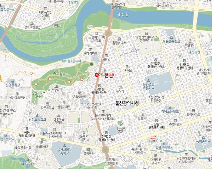 울산광역시 남구 신정동 1323-50 수아지오시티 5층506호 도시형생활주택 경매 사진 10