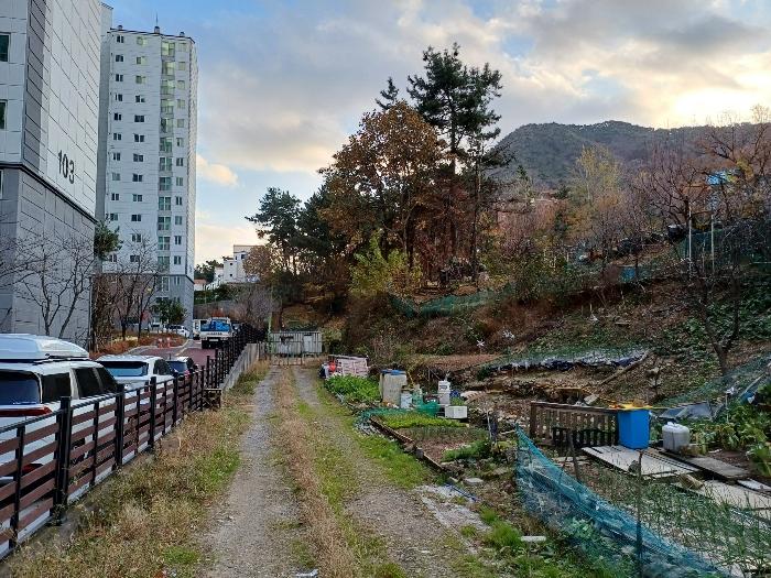 경상남도 김해시 삼계동 388-3 임야 경매 사진 11