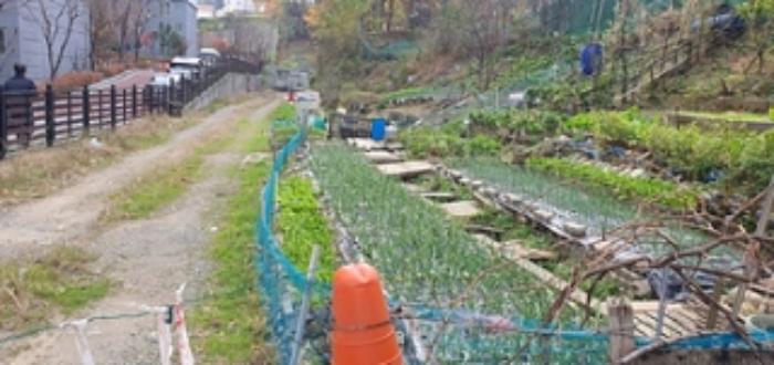경상남도 김해시 삼계동 388-3 임야 경매 사진 20