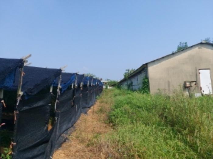 충청남도 당진시 신평면 상오리 687-10 축사(농가시설) 경매 사진 54