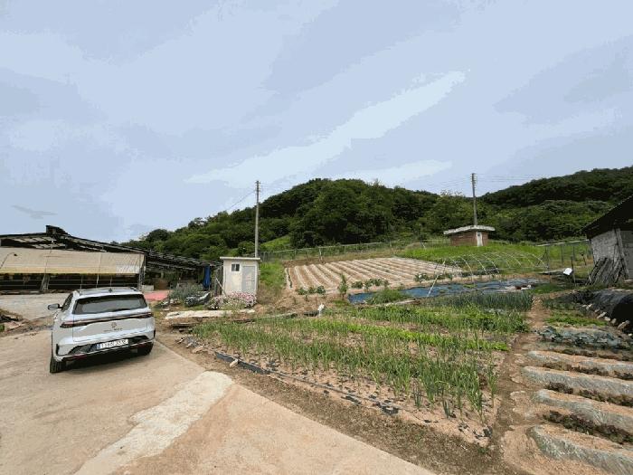 세종특별자치시 전동면 송곡리 산6-16 임야 경매 사진 2
