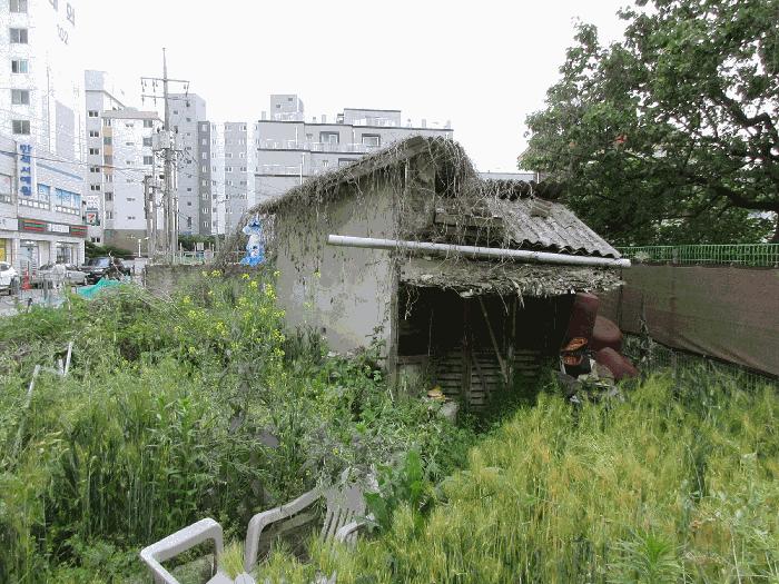 광주 광산구 답