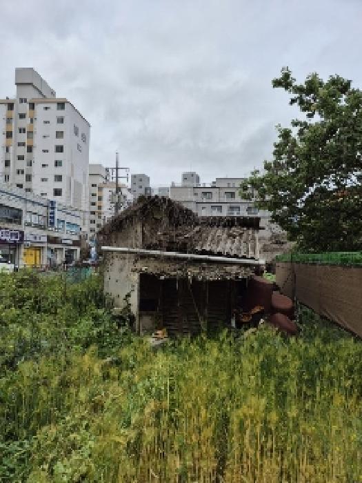 광주광역시 광산구 송정동 904-7 답 경매 사진 5