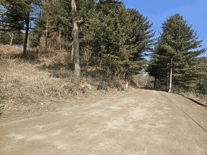 경기도 포천시 영북면 산정리 291-2 유지 경매 사진 5
