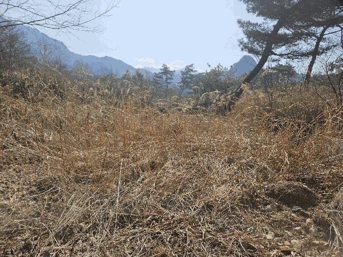 경기도 포천시 영북면 산정리 291-2 유지 경매 사진 6
