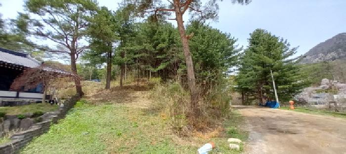 경기도 포천시 영북면 산정리 291-2 유지 경매 사진 7