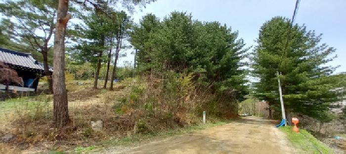 경기도 포천시 영북면 산정리 291-2 유지 경매 사진 8
