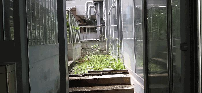 세종특별자치시 한누리대로 1970, 2층204호 (소담동,유림빌딩)구) 세종특별자치시 소담동 527 근린상가 경매 사진 14