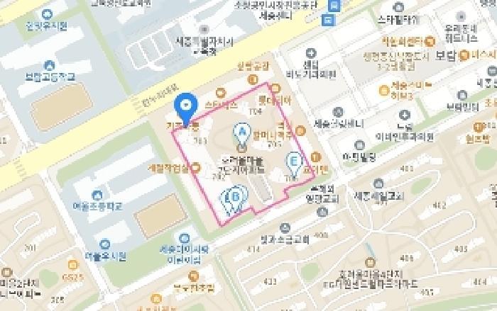 세종특별자치시 보람동 738 호려울마을7단지 706동 10층1003호 아파트 경매 사진 12