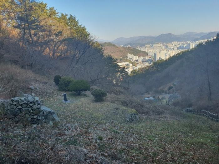 부산광역시 수영구 망미동 산114 임야 경매 사진 10
