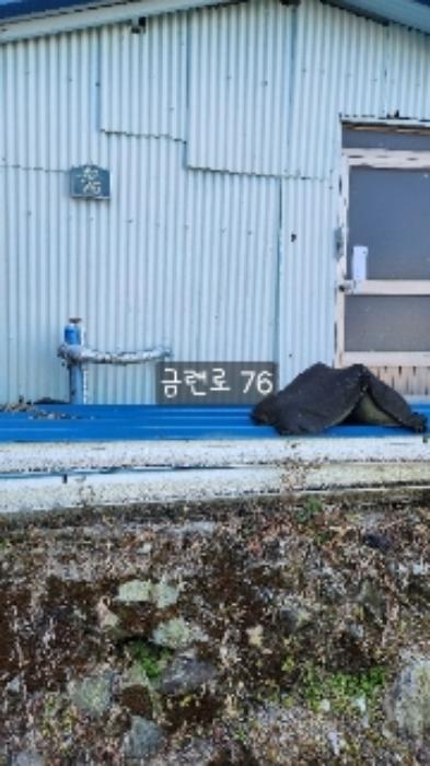 부산광역시 수영구 망미동 산114 임야 경매 사진 28