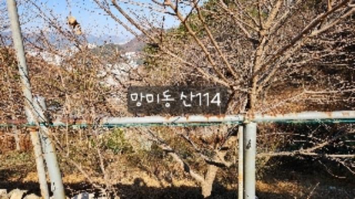 부산광역시 수영구 망미동 산114 임야 경매 사진 32
