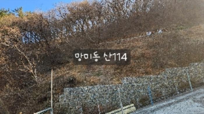 부산광역시 수영구 망미동 산114 임야 경매 사진 33