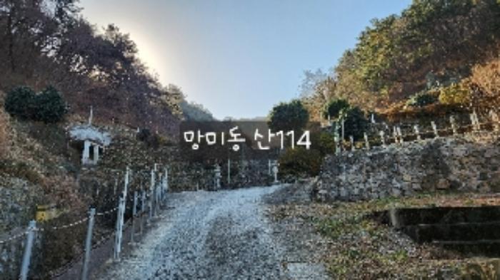 부산광역시 수영구 망미동 산114 임야 경매 사진 34