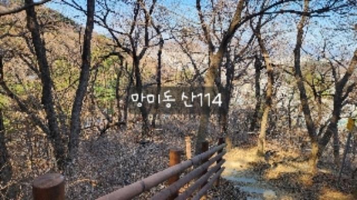 부산광역시 수영구 망미동 산114 임야 경매 사진 56