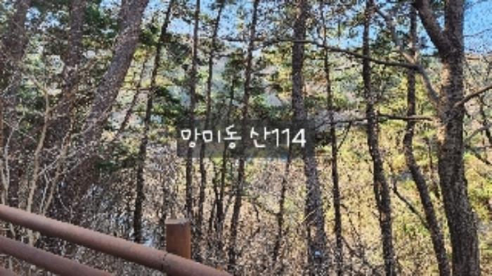 부산광역시 수영구 망미동 산114 임야 경매 사진 57
