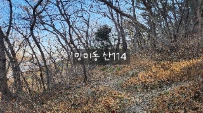 부산광역시 수영구 망미동 산114 임야 경매 사진 58