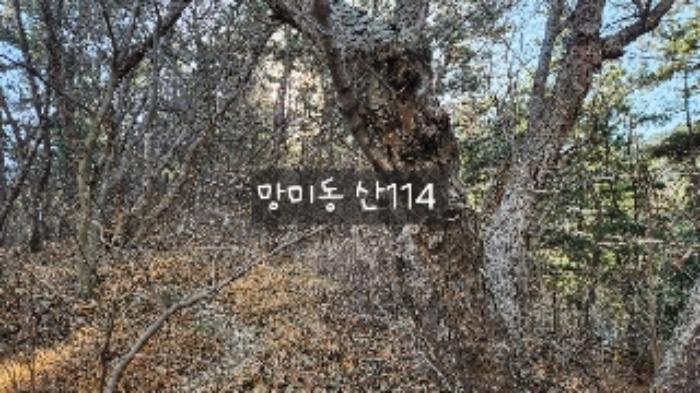 부산광역시 수영구 망미동 산114 임야 경매 사진 59