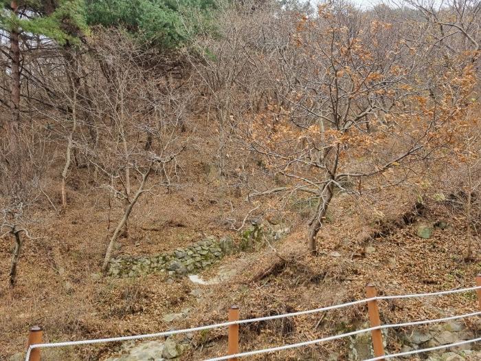 부산광역시 수영구 망미동 산114 임야 경매 사진 6