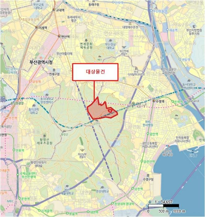 부산광역시 수영구 망미동 산114 임야 경매 사진 63