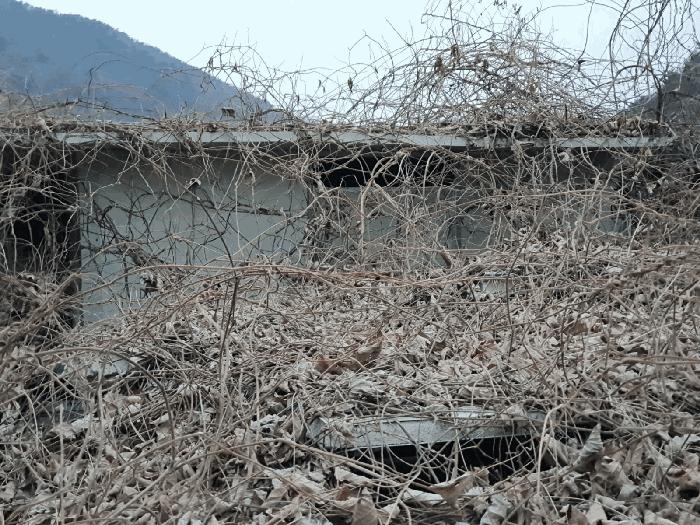 경상남도 고성군 하이면 봉원리 244 창고 경매 사진 20