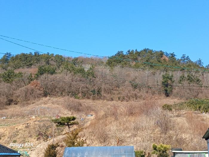 전라남도 영광군 염산면 봉남리 856-53 임야 경매 사진 1