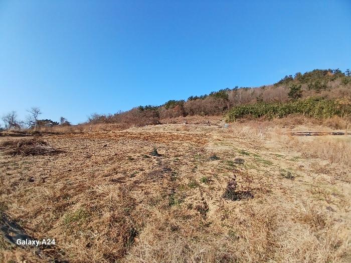 전라남도 영광군 염산면 봉남리 856-53 임야 경매 사진 2