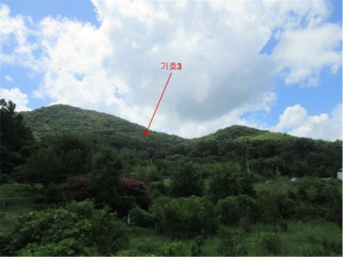 전라남도 장성군 황룡면 옥정리 산25-1 임야 경매 사진 2