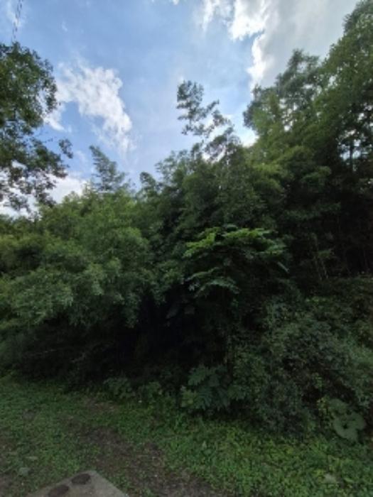 전라남도 장성군 황룡면 월평리 98-29 대지 경매 사진 59