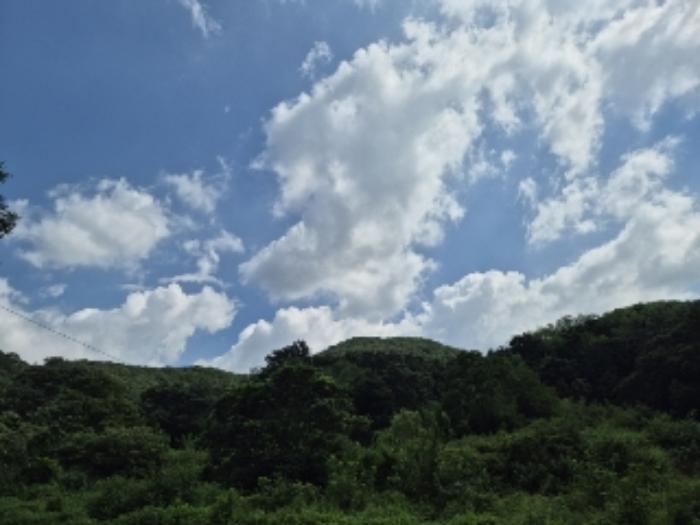 전라남도 장성군 황룡면 월평리 600-5 답 경매 사진 65