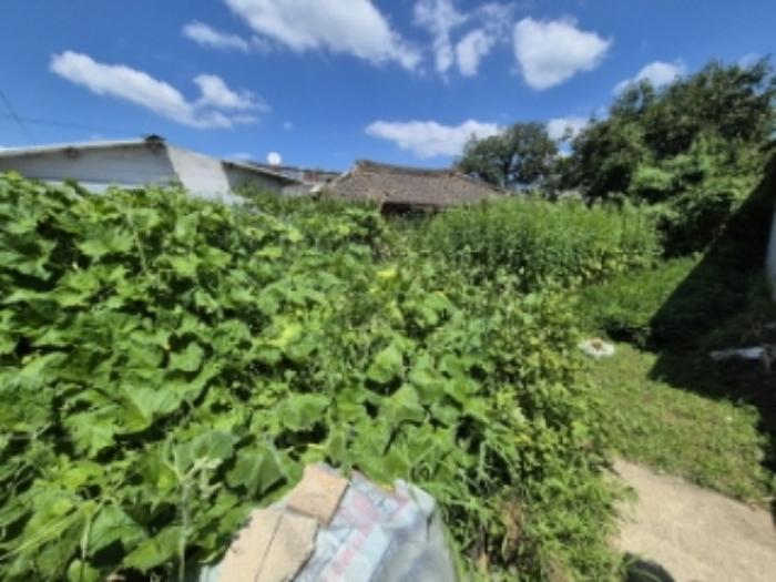 전라남도 장성군 황룡면 신호리 630-2 전 경매 사진 43