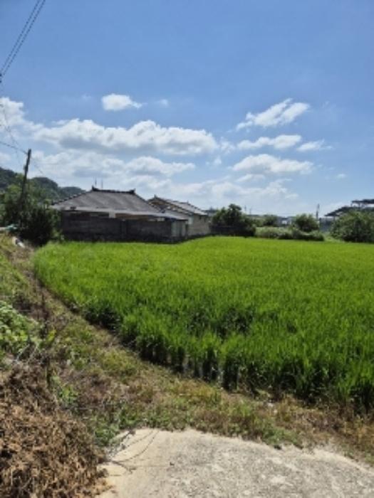 전라남도 장성군 황룡면 신호리 631 전 경매 사진 47