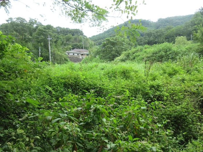 전라남도 장성군 동화면 용정리 311-1 임야 경매 사진 28