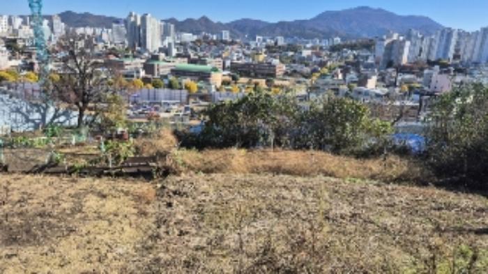 광주광역시 남구 월산동 586 전 경매 사진 9