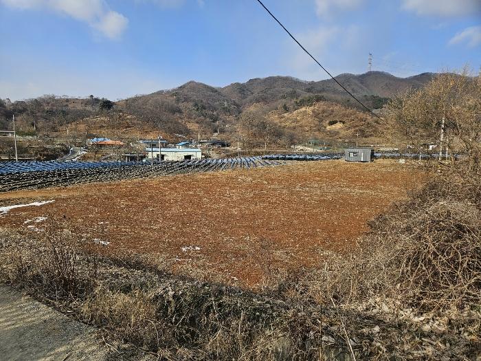충청남도 공주시 정안면 태성리 산22-1 임야 경매 사진 1