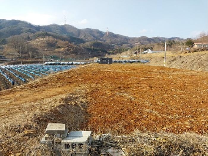 충청남도 공주시 정안면 태성리 산22-1 임야 경매 사진 13