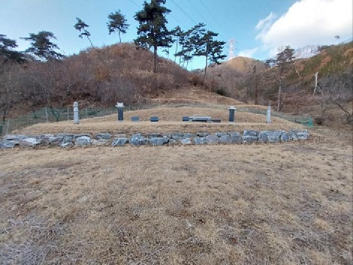 충청남도 공주시 정안면 태성리 산22-1 임야 경매 사진 20