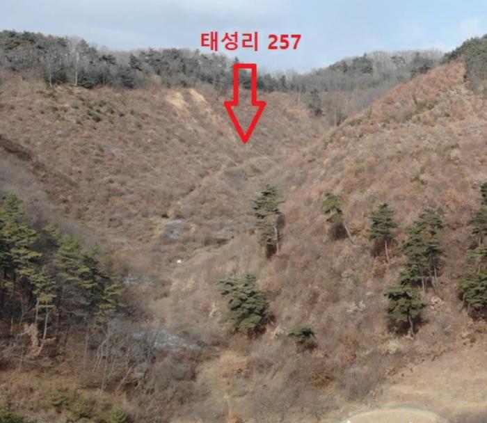 충청남도 공주시 정안면 태성리 산22-1 임야 경매 사진 4