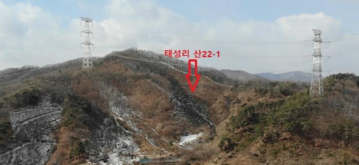 충청남도 공주시 정안면 태성리 산22-1 임야 경매 사진 5