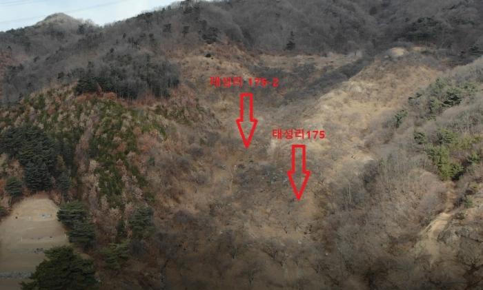 충청남도 공주시 정안면 태성리 산22-1 임야 경매 사진 7