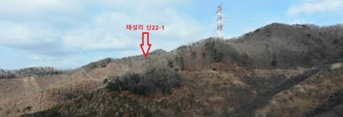 충청남도 공주시 정안면 태성리 산22-1 임야 경매 사진 9