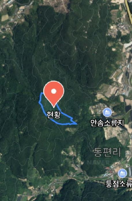 충청남도 금산군 군북면 조정리 산131 임야 경매 사진 11