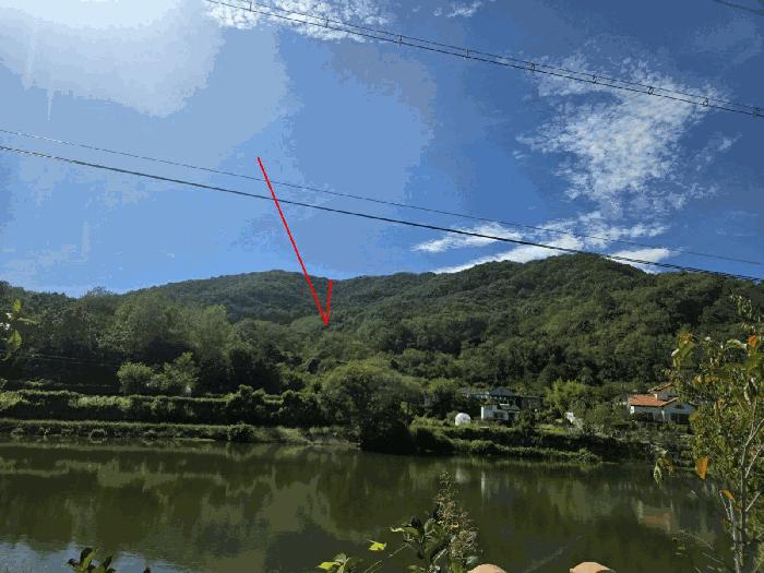 충청남도 금산군 군북면 조정리 산131 임야 경매 사진 3
