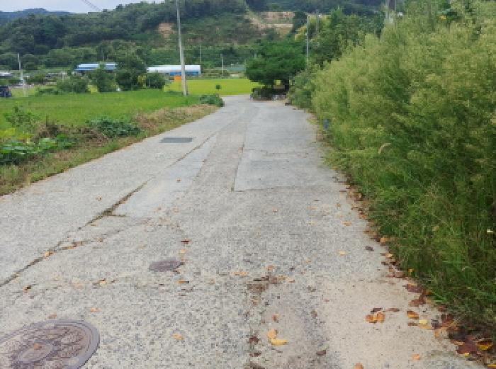 충청남도 금산군 군북면 조정리 산131 임야 경매 사진 6